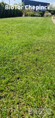 🌿Наторяване на трева с тор от Калифорнийски червей, снимка 2 - Тор и почвени смеси - 49967903