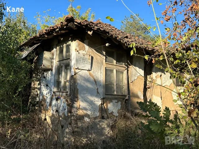 Парцел 1200 кв.м. двор УПИ с. Винище, община Монтана, снимка 4 - Парцели - 48736668