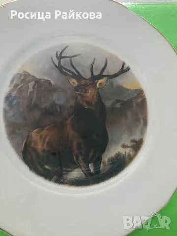 Порцеланова чиния, снимка 2 - Декорация за дома - 50156388