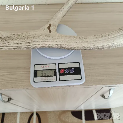 голям рог , снимка 2 - Антикварни и старинни предмети - 49509367