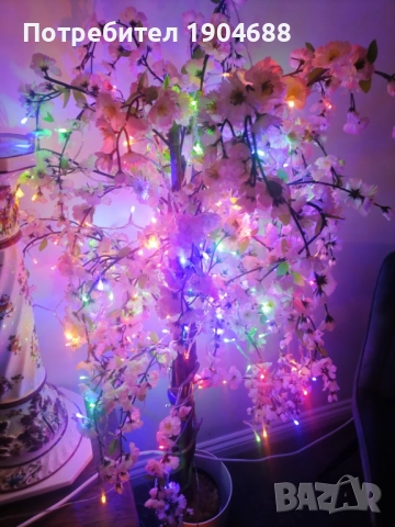 Светещо дърво 