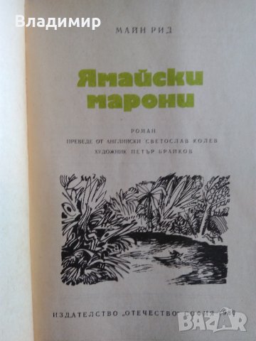 Книги на Жул Верн,Рафаело Сабатини,Майн Рид, снимка 9 - Художествена литература - 28002418