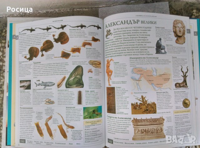 Илюстрована семейна енциклопедия. Том 1с подарък книжка за оцветяване, снимка 3 - Детски книжки - 28385077