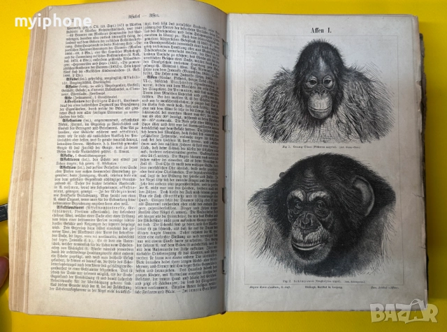 Стара Книга Справочна Работа с Общи Познания 1893 г., снимка 3 - Енциклопедии, справочници - 52787459