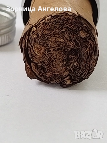 Кубинска оригинална пура от около 50 те. H.UPMANN CORONAS MAJOR , снимка 7 - Антикварни и старинни предмети - 52844469