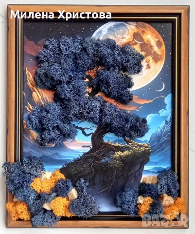 Картина със скандинавски мъх и камъчета 