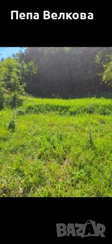 Дворно място в с.Ново Бърдо, снимка 3 - Парцели - 52254049