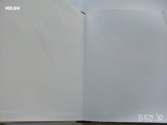 Златното Ключе или приключенията на Буратино - А.Толстой - 1977г., снимка 3 - Детски книжки - 44097852