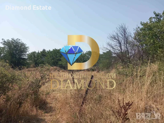 Парцел в село Александрово, обл. Хасково, снимка 2 - Парцели - 50937019