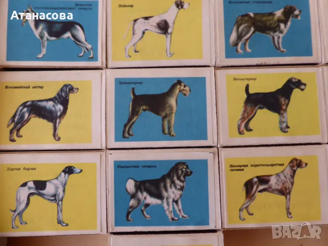 Руски кибрити с кучета от 80-те год, снимка 6 - Колекции - 47428289