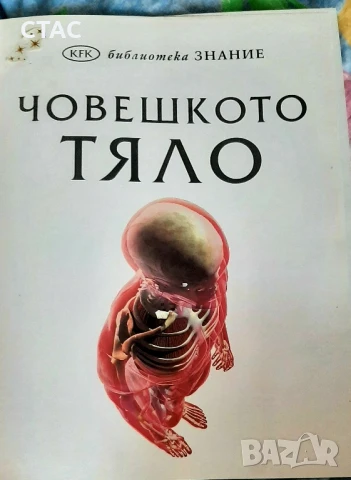 Осем книжки -енциклопедии за40лв, снимка 9 - Енциклопедии, справочници - 48779223
