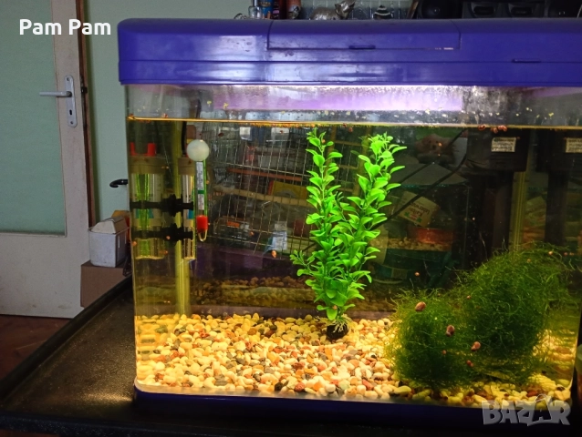 Аквариуми, снимка 2 - Аквариуми - 52513800