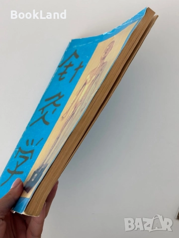 Чжен - Цзю - Ксюе. Анатомия и физиология на акупунктурата. Том 1. Убождане и обгаряне на точки| Абу, снимка 3 - Художествена литература - 51821760