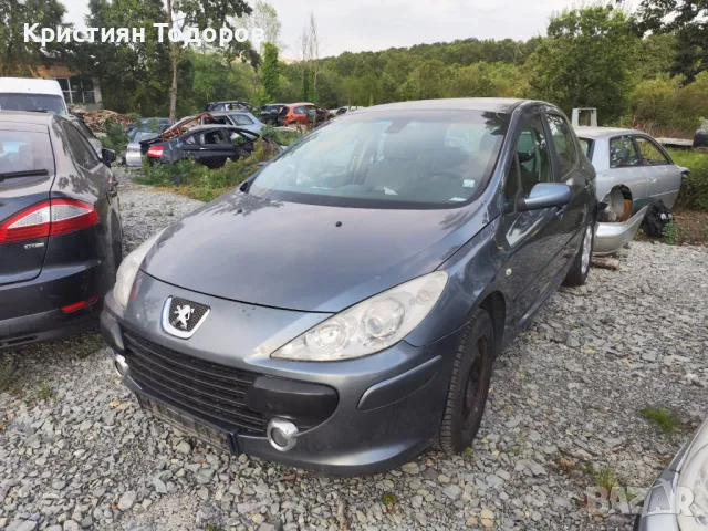 Peugeot 307 много броики на части пежо 307, снимка 2 - Части - 47930044