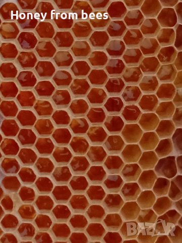Пчелен мед от Пчели, снимка 6 - Пчелни продукти - 41579311