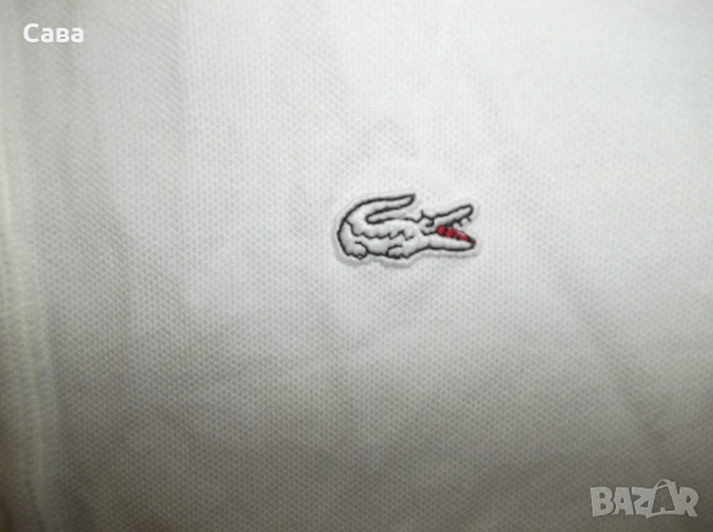 Тениски LACOSTE,TOMMY HILFIGER  дамски,С, снимка 4 - Тениски - 51458375