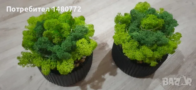 Светеща кашпа със скандинавски мъх , снимка 4 - Декорация за дома - 48169980