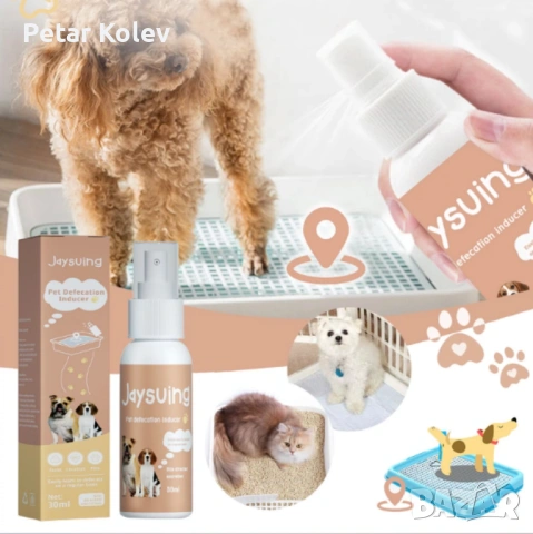 Спрей за обучение на гърне за домашни любимци, снимка 3 - За кучета - 53401268