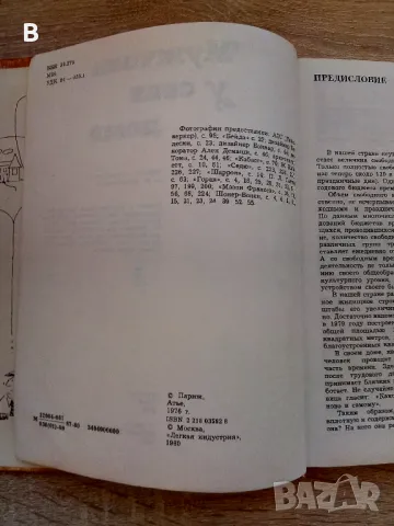 Мужчина у себя дома, снимка 3 - Други - 48385983