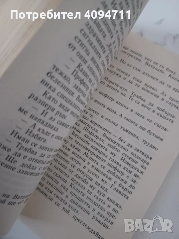 Гибелта на Аякс,Обстоятелства около смърта на господин N, снимка 3 - Художествена литература - 52494446