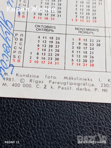 Старо календарче 82г. ЦВЕТЯ рядко за КОЛЕКЦИЯ ДЕКОРАЦИЯ 35327, снимка 7 - Колекции - 51224198