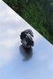 Leaf Figured Black UNISEX Ring, снимка 1 - Пръстени - 39421929