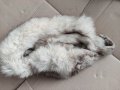 Продавам кожа от полярна 🦊, снимка 6