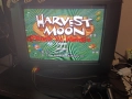 Harvest Moon: Back to Nature за PS1, снимка 4