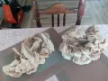 Огромни и прекрасни Пустинни рози от Сахара.Обявената цена е за двете., снимка 2