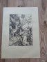 Литографии Албрехт Дюрер различни видове с воден знак , снимка 7