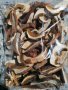Манатарка /сушени гъби/ от района на  Западни Родопи, 25 г