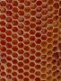 Пчелен мед от Пчели, снимка 6