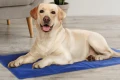 Охлаждаща подложка за домашни любимци , снимка 1