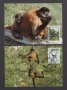 Хондурас 1990 - 4 броя Карти Максимум - WWF, снимка 1 - Филателия - 39013204