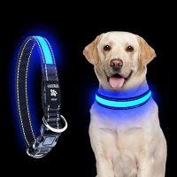 LED нашийник за куче разходка през нощта безопасност USB акумулаторен, снимка 1 - За кучета - 33633425