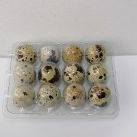 ПРЕСНИ яйца от пъдпъдици, снимка 4 - други­ - 42943730