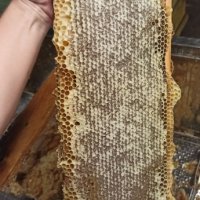 пчелен мед , снимка 2 - Пчелни продукти - 43645242