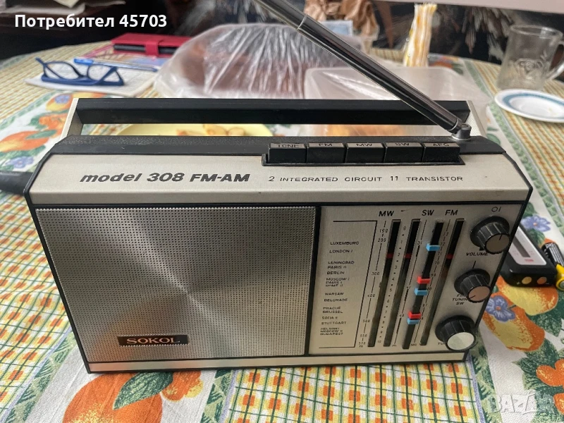 Сокол, снимка 1