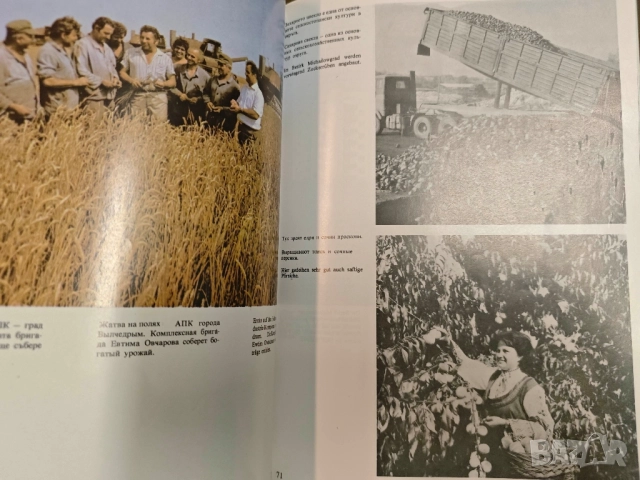 продавам албум "Септемврийски пламък Михайловградски окръг, снимка 4 - Други - 51782014