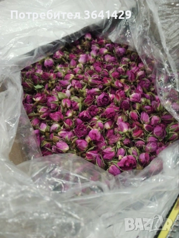 Сушени розови пъпки, снимка 5 - Други - 46806360