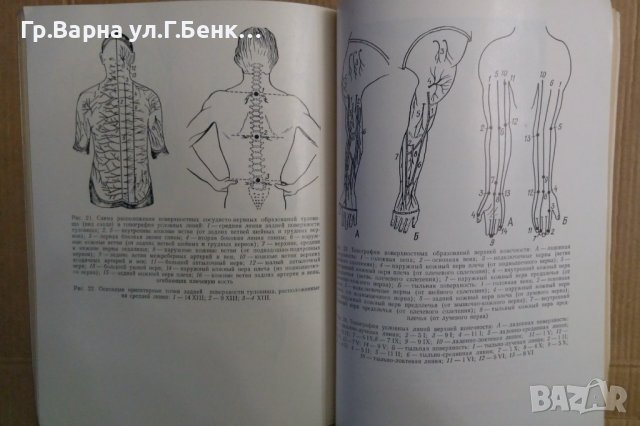 Топографо-анатомические основъи акупунктуръи (на руски) Хлопов Н.А., снимка 2 - Специализирана литература - 43043658