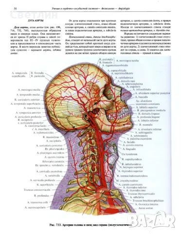 Продавам Руски атласи по медицина., снимка 5 - Електронни книги - 48460842