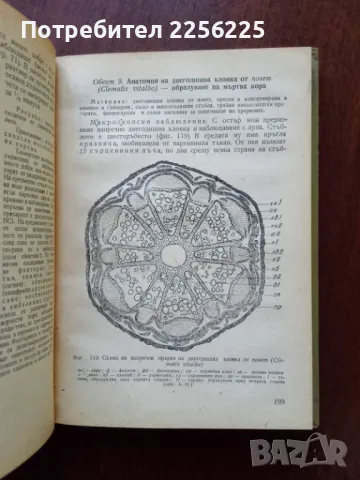 Практическо ръководство по анатомия и морфология на растенията , снимка 2 - Специализирана литература - 50427519