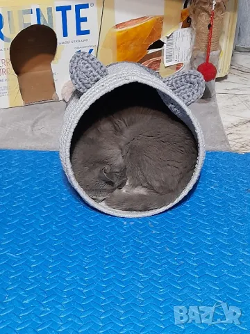 Къщи и фотьойл за котки и кучета, снимка 3 - Други стоки за животни - 35261310