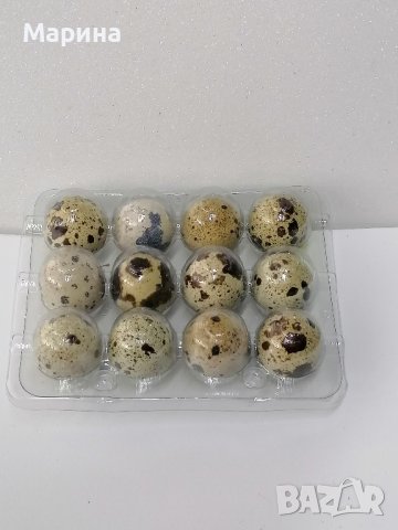 ПРЕСНИ яйца от пъдпъдъци, снимка 4 - други­ - 42943730