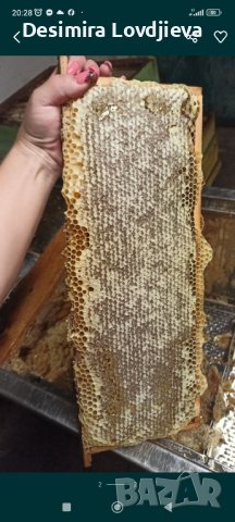 пчелен мед , снимка 2 - Пчелни продукти - 43645242