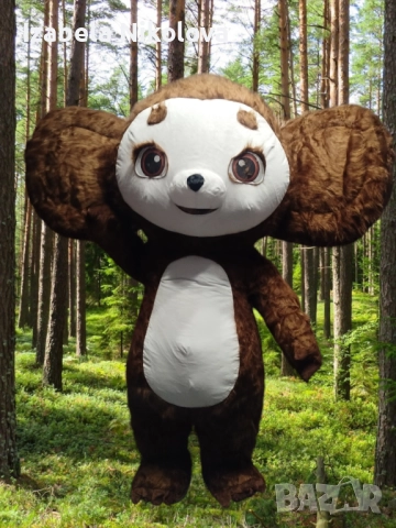 🎁Изненада със Стич🐾, гигантска бяла мечка🐻‍❄️, панда🐼, котка🐱 или Чебурашка🐭, снимка 4 - Други услуги - 52303245