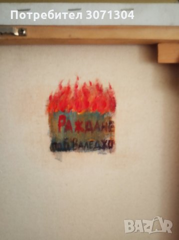 Раждане, снимка 4 - Картини - 33244953