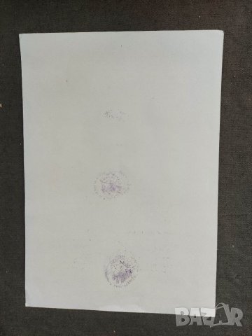 Продавам Диплом Expo '81 Пловдив Златен медал дратхаар, снимка 2 - Антикварни и старинни предмети - 35617090