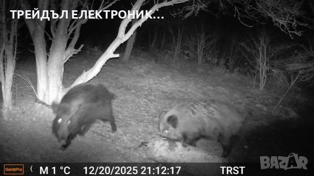 Ловна камера GardePro X50, снимка 4 - Камери - 52893182